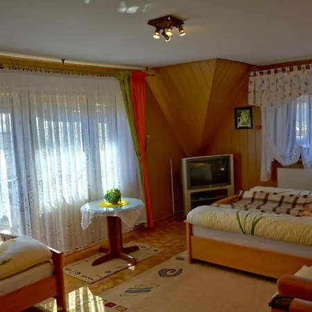 Anna Lägenhet Zakopane